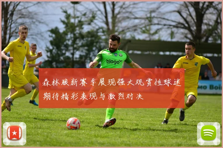 森林狼新赛季展现强大观赏性球迷期待精彩表现与激烈对决