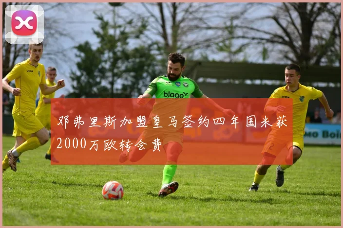 邓弗里斯加盟皇马签约四年国米获2000万欧转会费