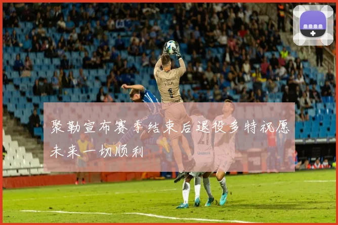 聚勒宣布赛季结束后退役多特祝愿未来一切顺利